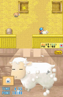 Harvest Moon DS - Sheep