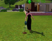 Sims 3 - Gardening