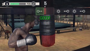 Real Boxing Vita - Gym Training