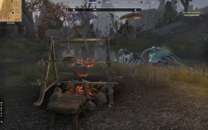 Elder Scrolls Online - Campfire