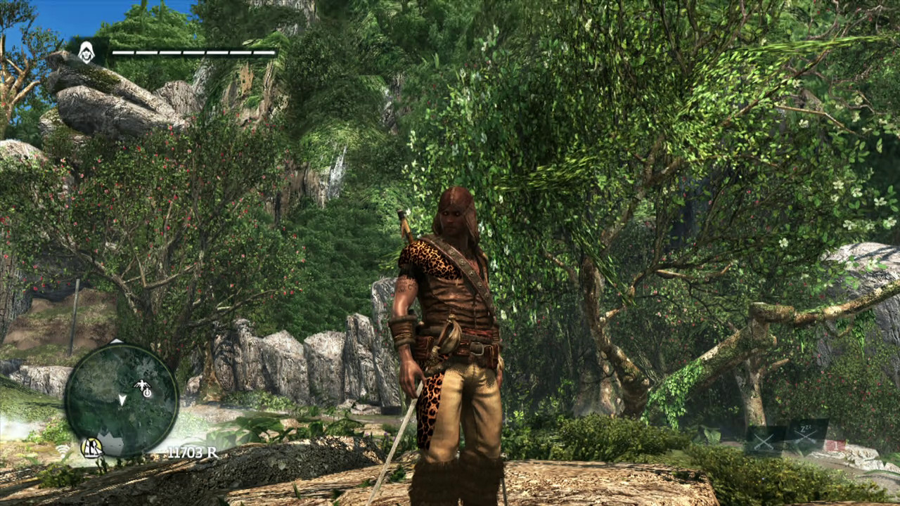 Assassin's Creed IV: Black Flag Single-Player Review (360) – The Average  Gamer